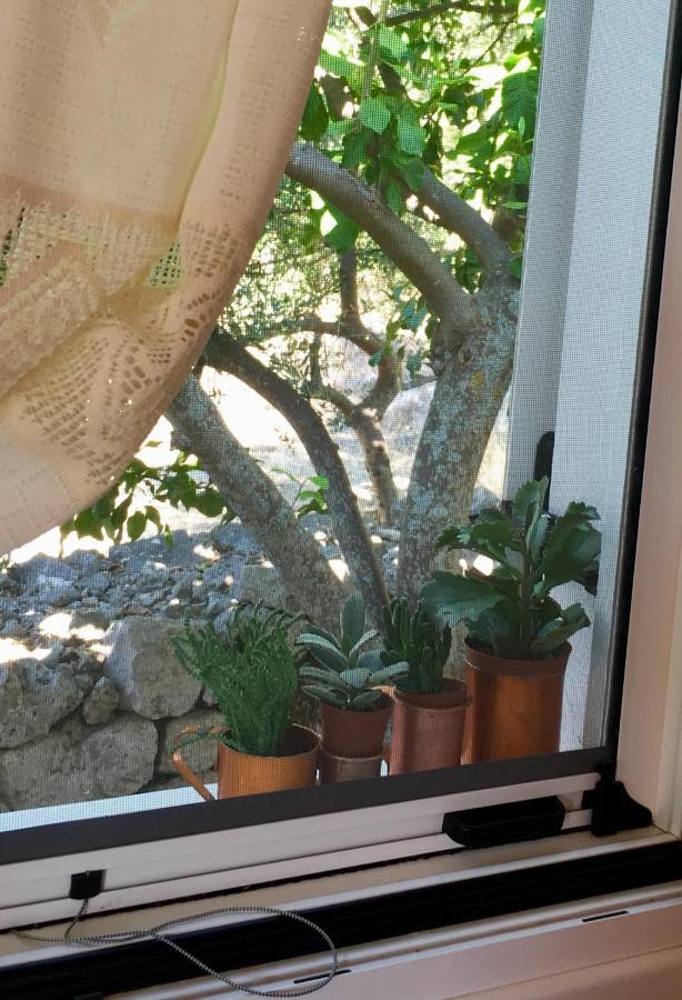 La Casa Di Odyssey Guest House Dhavgáta Екстериор снимка